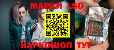 кокс Кингисепп