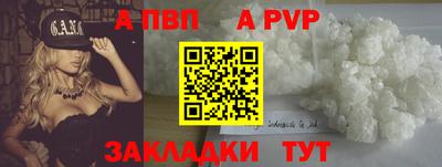 кокс Кингисепп