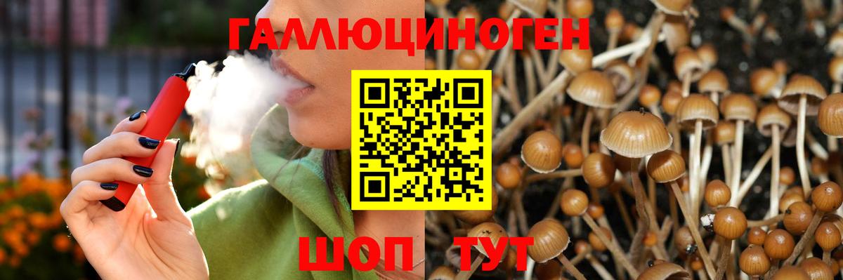 Галлюциногенные грибы Psilocybine cubensis  Вход с VPN  Шали 
