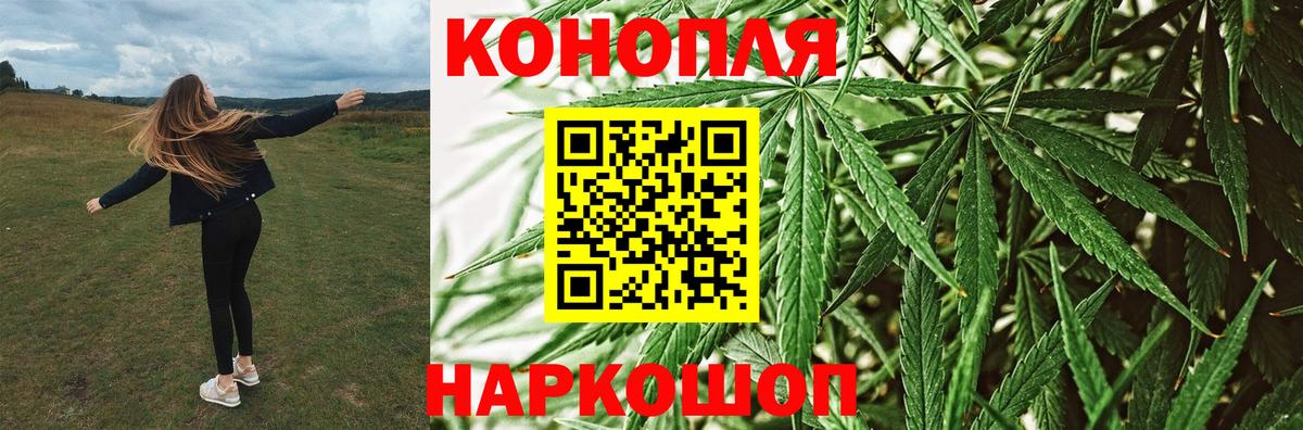 Каннабис конопля Шали